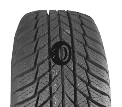 Foto pneumatico: BRIDGESTONE, DRIVEGUARD WINTER 205/60 R1616 96H Invernali