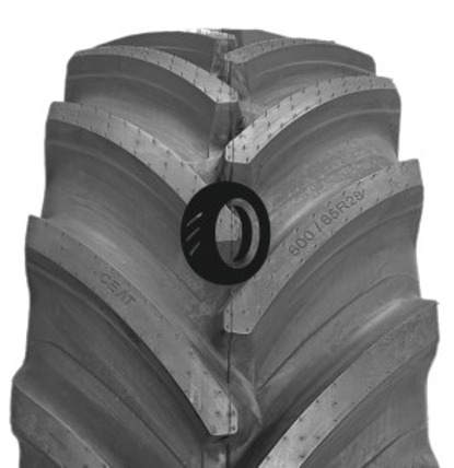 Foto pneumatico: CEAT, TORQUEMAX (R1-W) 600/70 R3030 170D Quattro-stagioni
