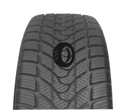 Foto pneumatico: DELINTE, WD1 195/60 R1515 88H Invernali
