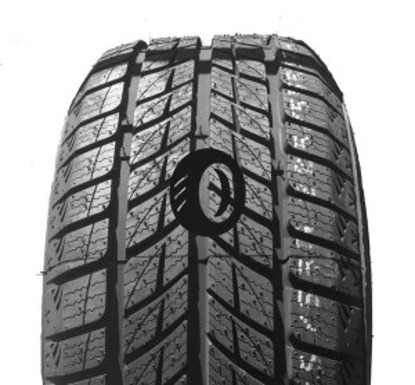 Foto pneumatico: DOUBLESTAR, DW09 WINTERKING 215/45 R1717 91T Invernali