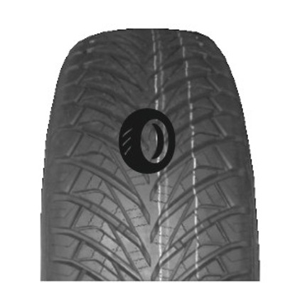 Foto pneumatico: FORTUNE, FSR401 205/55 R1616 94V Estive