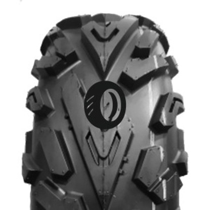 Foto pneumatico: JOURNEY TYRE, P3055 8/ R1212 55F Quattro-stagioni