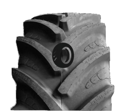 Foto pneumatico: MAXIMO, RADIAL 65 540/65 R2828 142D Quattro-stagioni