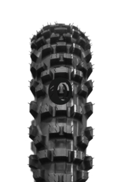Foto pneumatico: MAXXIS, M7304 70/100 R1919 42M Quattro-stagioni