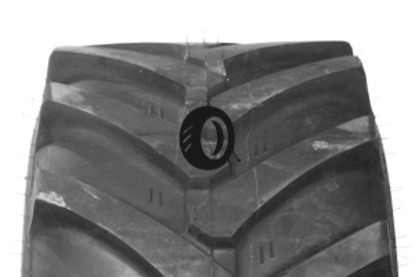 Foto pneumatico: MITAS, TR01 15.5/80 R2424  Quattro-stagioni
