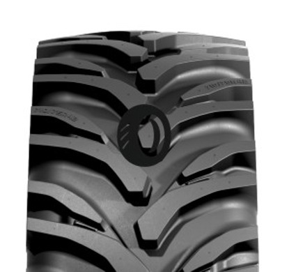 Foto pneumatico: NOKIAN, TRACTOR KING (R-1W) 540/65 R2828 154D Quattro-stagioni