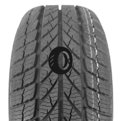 Foto pneumatico: PAXARO, INVERNO 195/55 R1616 87H Invernali