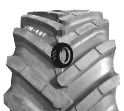 Foto pneumatico: ROSAVA, CM-101 800/65 R3232 178A8 Quattro-stagioni