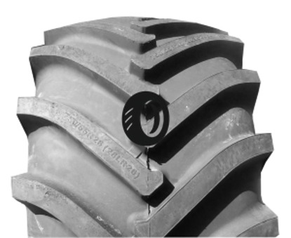 Foto pneumatico: ROSAVA, CM-102 750/65 R2626 166A8 Quattro-stagioni