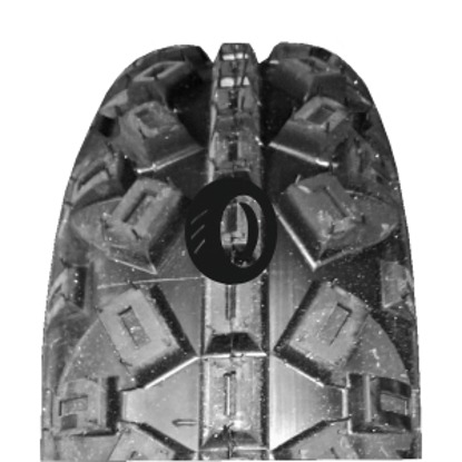 Foto pneumatico: SUN-F, A-035 FRONT 6/ R1010 35N Quattro-stagioni