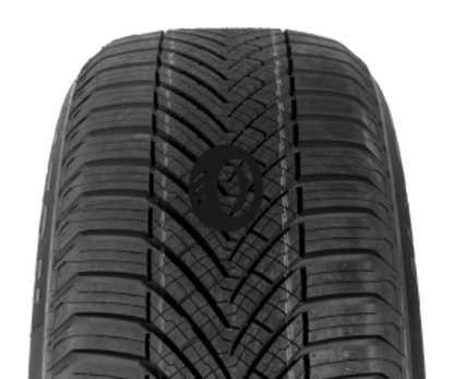Foto pneumatico: TOMASON, ALLSEASON 205/60 R1616 92H Estive