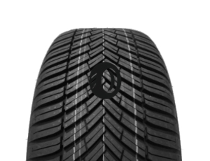 Foto pneumatico: TOYO, CELSIUS AS2 205/55 R1616 94V Estive