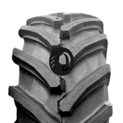 Foto pneumatico: TRELLEBORG, TM1000PT 600/70 R3030 170D Quattro-stagioni