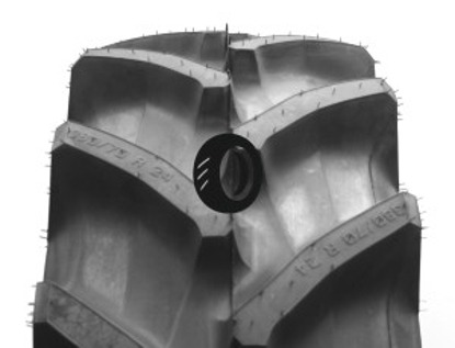 Foto pneumatico: TRELLEBORG, TM700 280/70 R1616 112A8 Quattro-stagioni