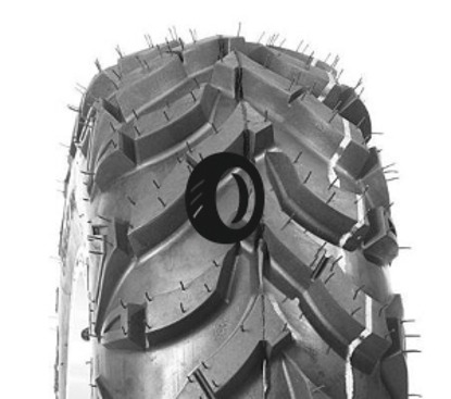 Foto pneumatico: WANDA TYRE, P341 9/ R1111 40J Quattro-stagioni