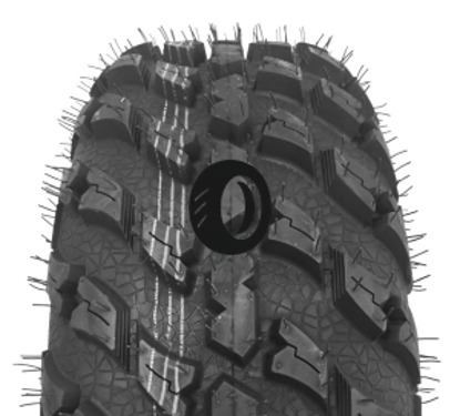 Foto pneumatico: WANDA TYRE, VS3021 10/ R1414 81N Quattro-stagioni