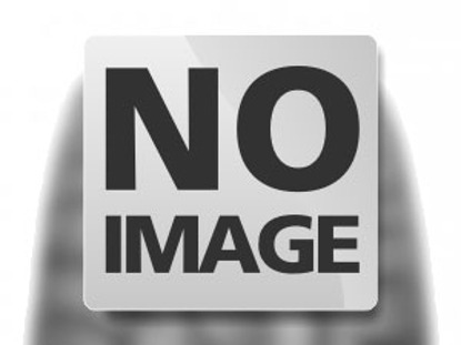 Foto pneumatico: SUNNY, NP226 205/55 R1616 91V Estive