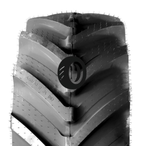 Foto pneumatico: CONTINENTAL, COMPACTMASTER AG 500/70 R2424 164A8 Quattro-stagioni