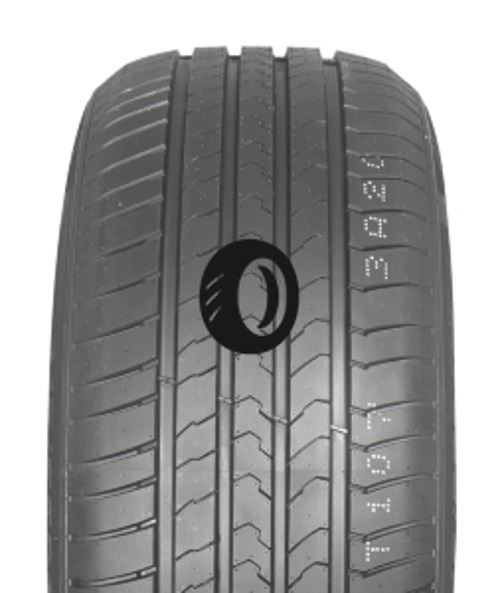 Foto pneumatico: GOODTRIP, BLUEGUARD 205/55 R1616 91V Estive