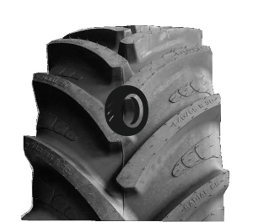 Foto pneumatico: MAXIMO, RADIAL 65 540/65 R2828 142D Quattro-stagioni