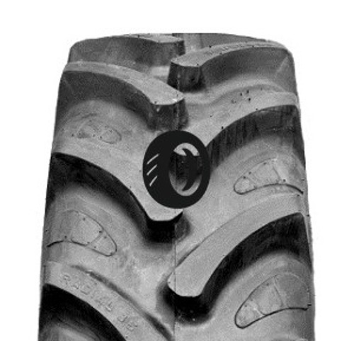Foto pneumatico: MAXIMO, RADIAL 85 280/85 R2424 115A8 Quattro-stagioni