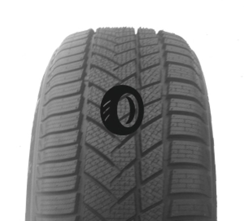 Foto pneumatico: MILEVER, MW255 WINTER-MAX A1 235/55 R1919 105V Invernali