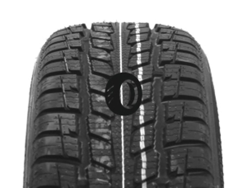 Foto pneumatico: ROADSTONE, N`PRIZ 4S 205/60 R1616 96H Estive