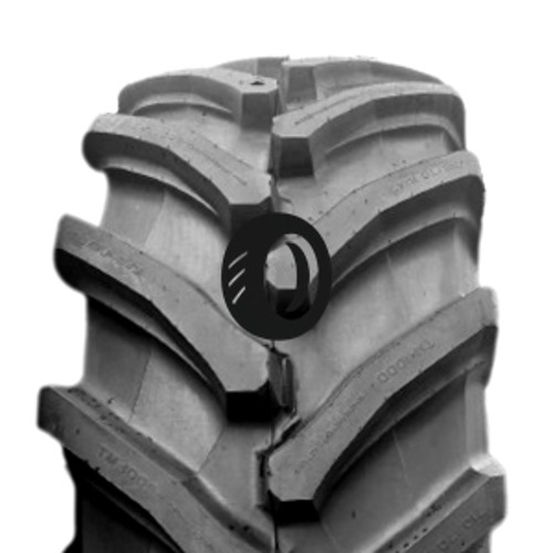 Foto pneumatico: TRELLEBORG, TM1000PT 600/70 R3030 170D Quattro-stagioni