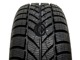 Foto pneumatico: MAXXIS, ARCTICTREKKER WP05 155/60 R1515 74T Invernali