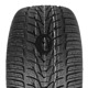 Foto pneumatico: NANKANG, WINTER ACTIVA SV-4 195/60 R1818 96V Invernali